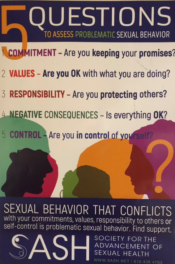 Five Categories of Problematic Sexual Behavior